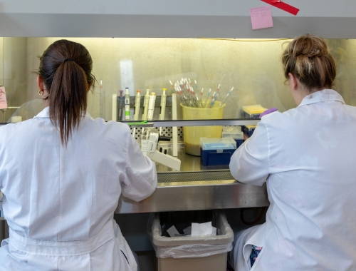 Two students work at the lab hood.