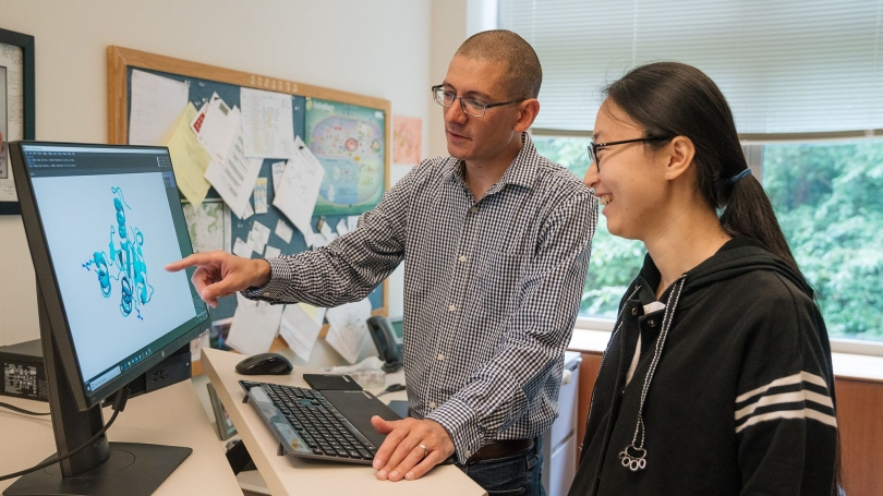 Assoc. Professor of Chemistry Mike Ragusa and MCB student Sherry Xia looking at a protein model