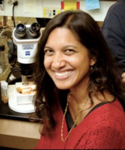 Yashi Ahmed