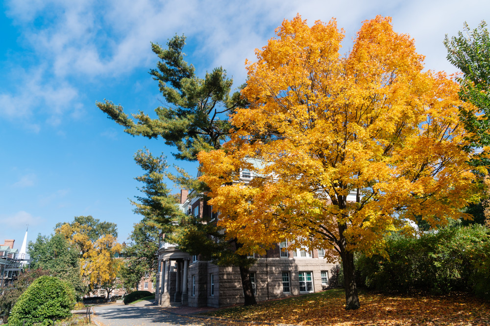 COVID-19 Testing Site Moving to Leverone Field House | Guarini School ...