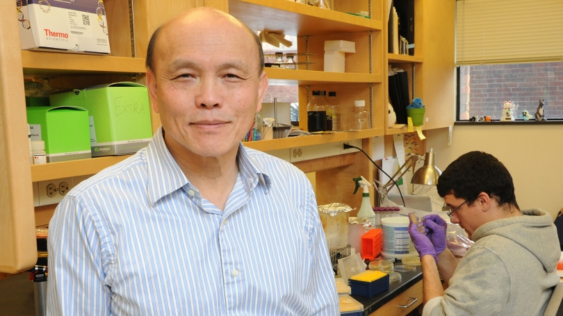 professor ambrose cheung in his lab with graduate student stephen costa