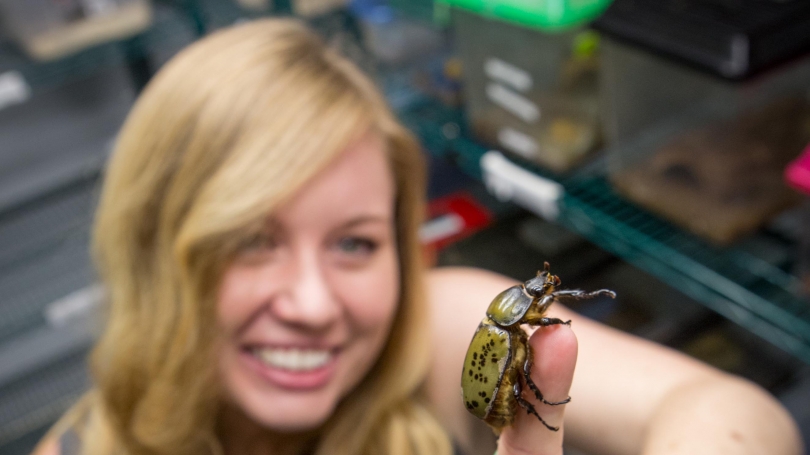 Liz Studer EEES With Insect