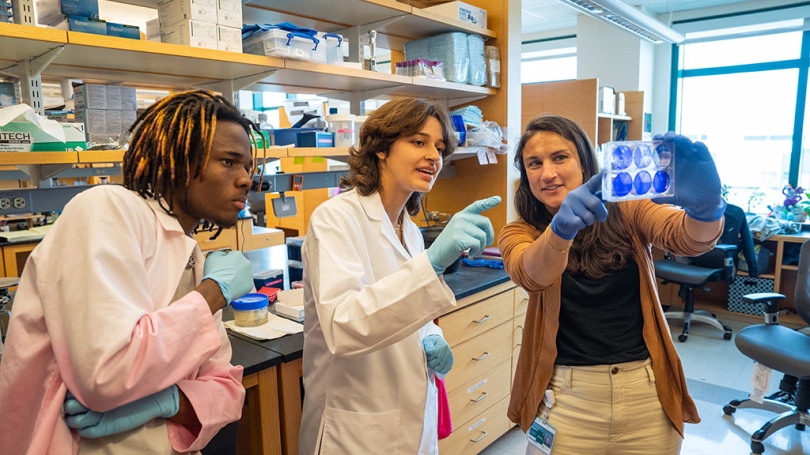 Three students conducting an experiment.