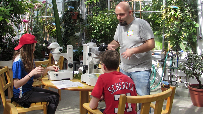 young students observing plant structures under the microscope 