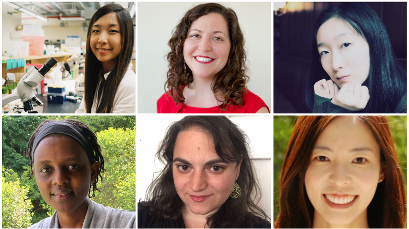 The six new postdoctoral scholars who have joined the Society of Fellows are, clockwise from top left, Jeemin Rhim, Danielle Simon, Yi Wu, Hiroko Kumaki, Amy Schiller, and Glorieuse Uwizeye.